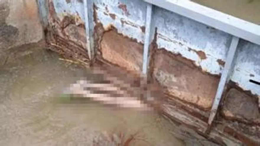 Aparece el cadáver de un hombre en una acequia en Burriana