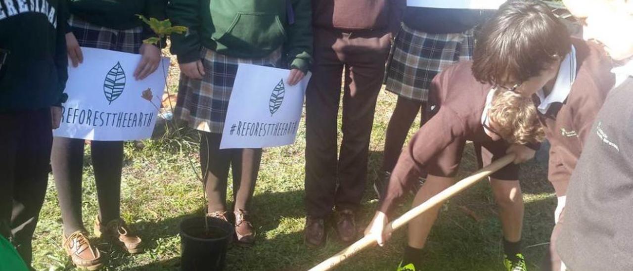 campaña a pie de barrio. Los niños visitan a los vecinos casa por casa para convencerles de que instalen una compostadora y también, si quieren, les plantan un árbol.