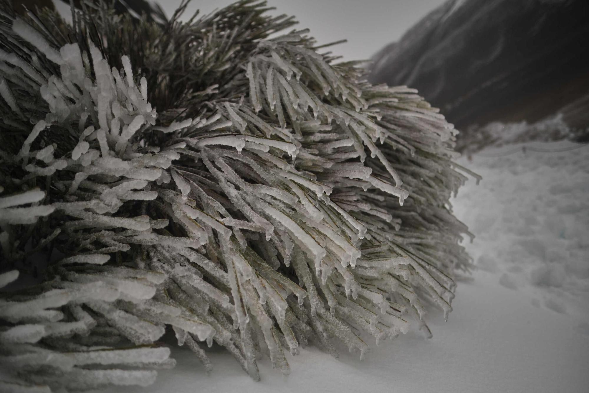 La nieve que dejó 'Filomena' en el Teide