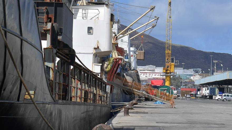 La Luz reduce emisiones con el nuevo suministro eléctrico del Muelle Grande