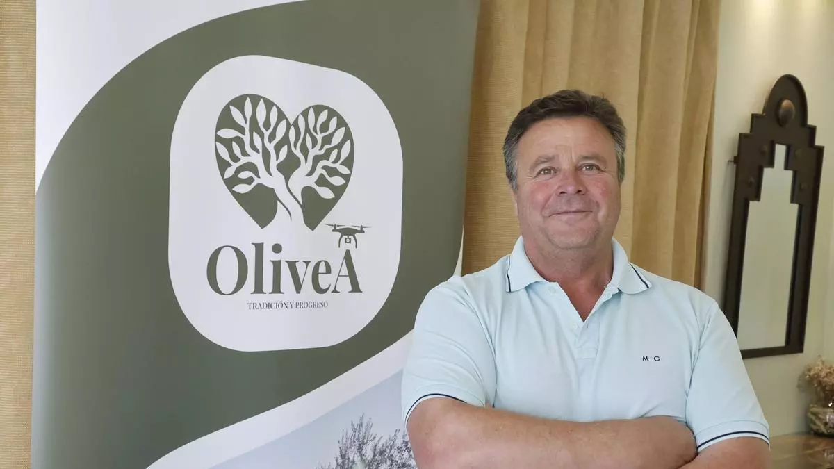 José Gilabert, presidente de OliveA: «El olivar tradicional no debe competir en volumen y costes, sino en calidad»