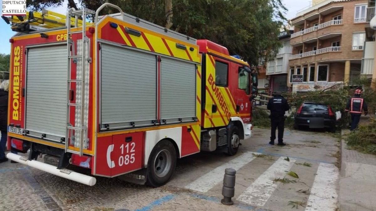 Intervención de los bomberos en Castellón después de que un árbol cayera sobre un coche.