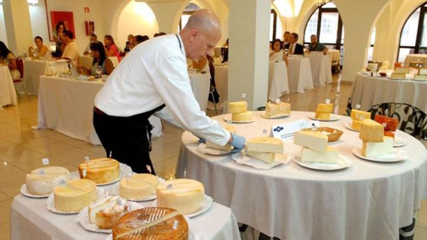 Bodegón de quesos preparados para su cata, ayer, durante el XI Concurso Oficial Agrocanarias. | santi blanco