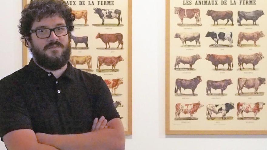 David Armengol, comissari de la mostra, davant «Les animaux de la ferme» de Marcel Broodthaers