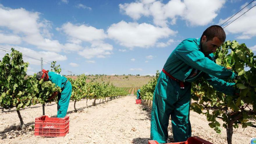 Bodegas Luzón renueva su compromiso con el medioambiente con el certificado SWfCP