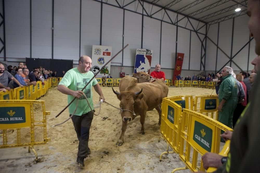 Fiestas de La Pontona en Pola de Laviana