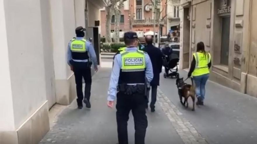 La unitat canina patrullant amb la Guàrdia Urbana de Figueres