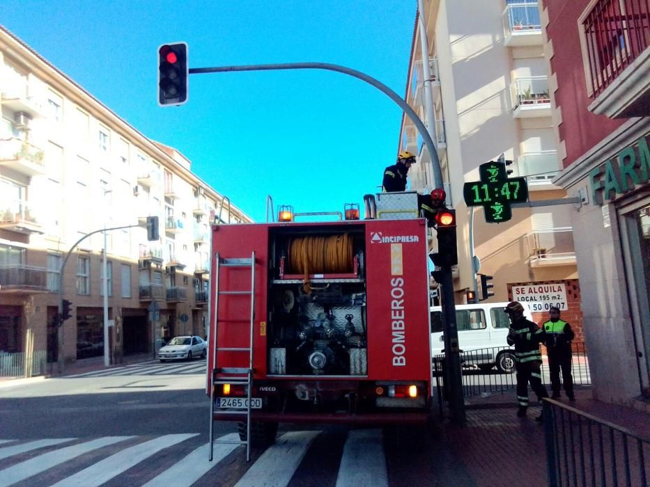 Retirada de un árbol caído por el viento en la zona de Pinosol, en Xàbia.