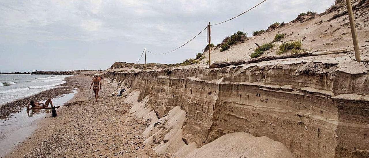 Obras de emergencia para recuperar el cordón dunar de la playa de la Garrofera