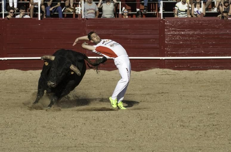 Concurso de cortes en la Plaza de Toros de Benaven