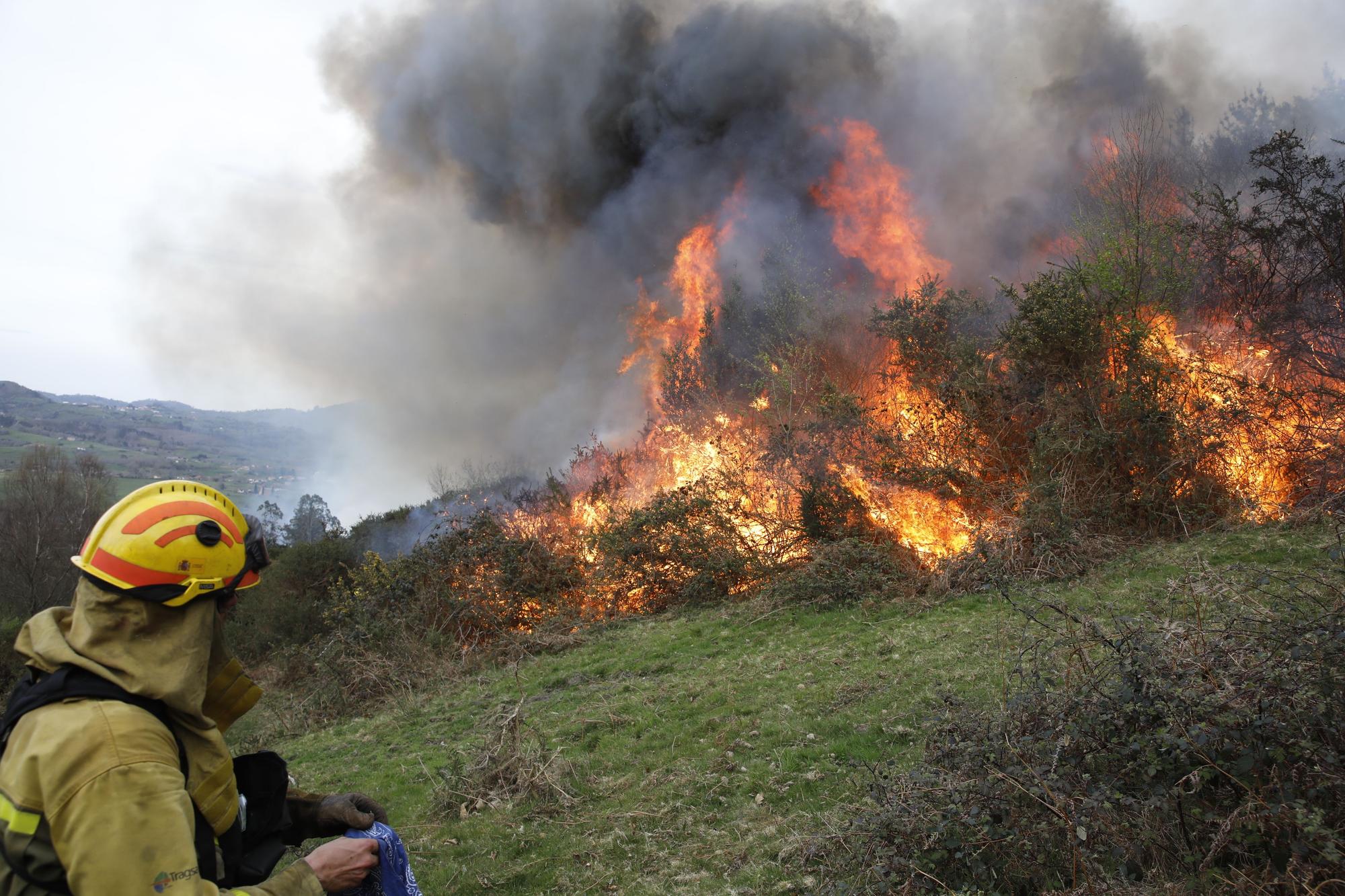 La lucha contra el fuego en el incendio entre Nava y Piloña