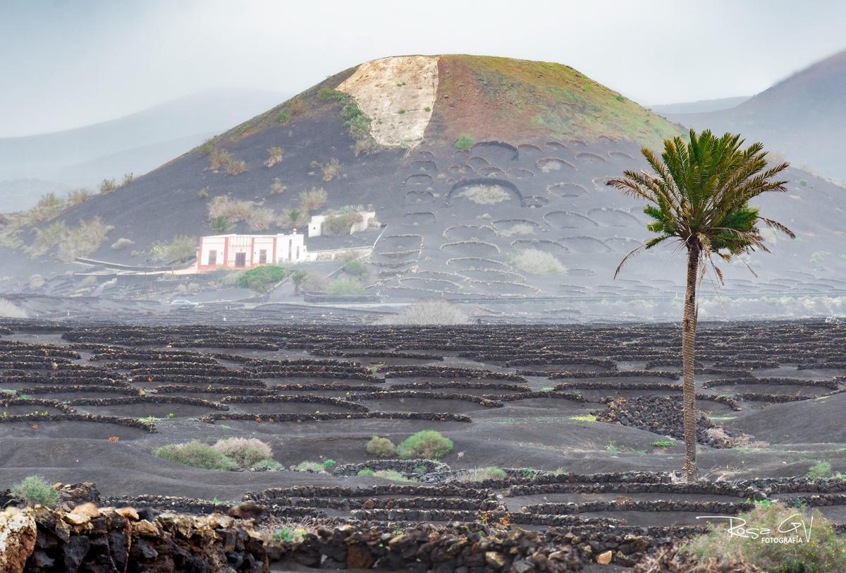 Lluvias en el municipio de Yaiza, en Lanzarote (13/01/25) Lluvias en el municipio de Yaiza, en Lanzarote (13/01/25)