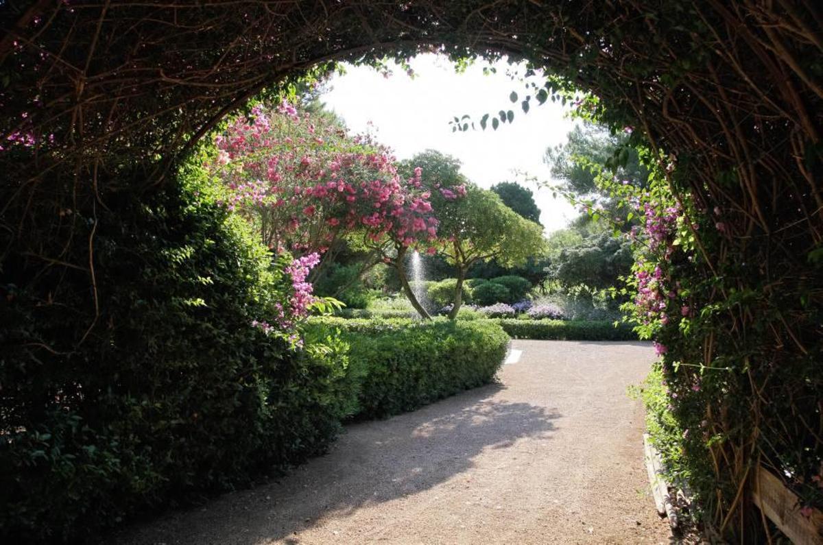 Marivent, los ciudadanos llaman a palacio