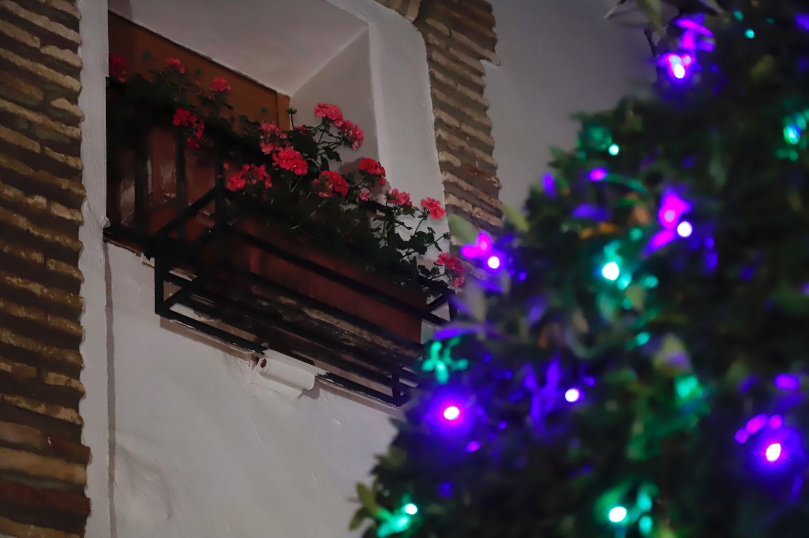 Los patios abren por Navidad pese a la lluvia