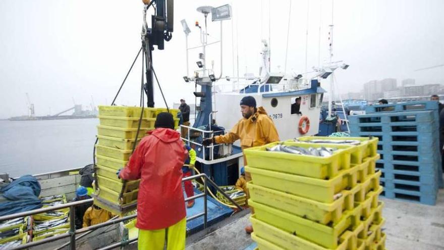 Marineros descargan pescado en el puerto de A Coruña en 2015.