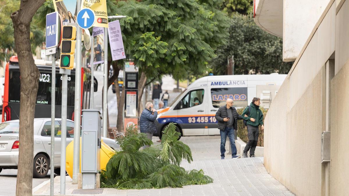 ZAMAN | Güçlü rüzgar Barselona ve Katalonya'ya geri dönüyor: Bu perşembe için tahmin bu
