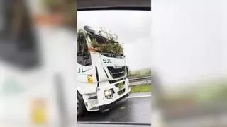 Un árbol impacta contra un camión en la carretera AP-4 Sevilla - Cádiz