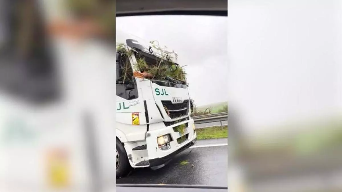 Un árbol impacta contra un camión en la carretera AP-4 Sevilla - Cádiz
