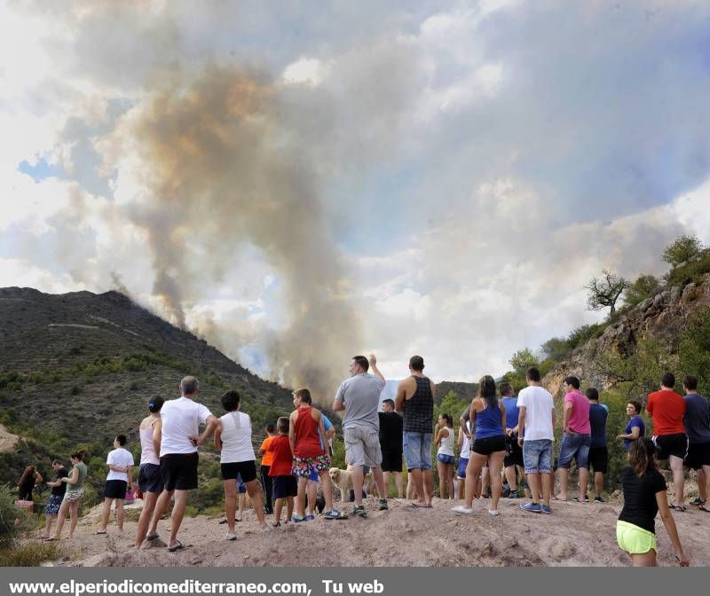 GALERIA DE IMÁGENES  - INCENDIO FORESTAL EN LA VALL