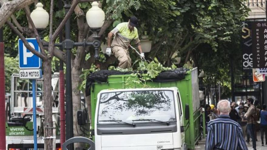 Poda en la Rambla para mejorar la iluminación tras las quejas