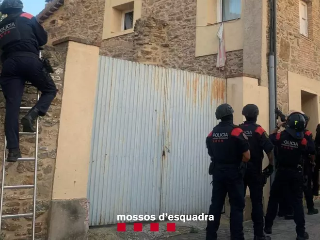 En cultiu de marihuana desmantellat en una casa de Gualta