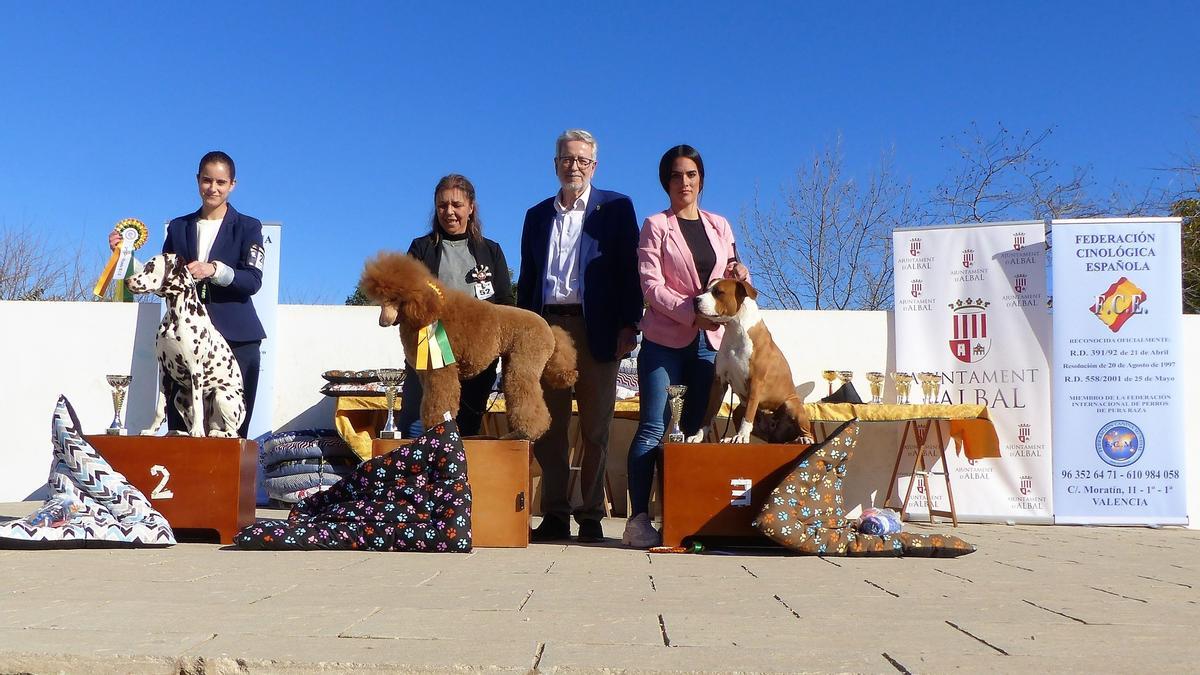 Los ganadores del concurso canino de Albal.