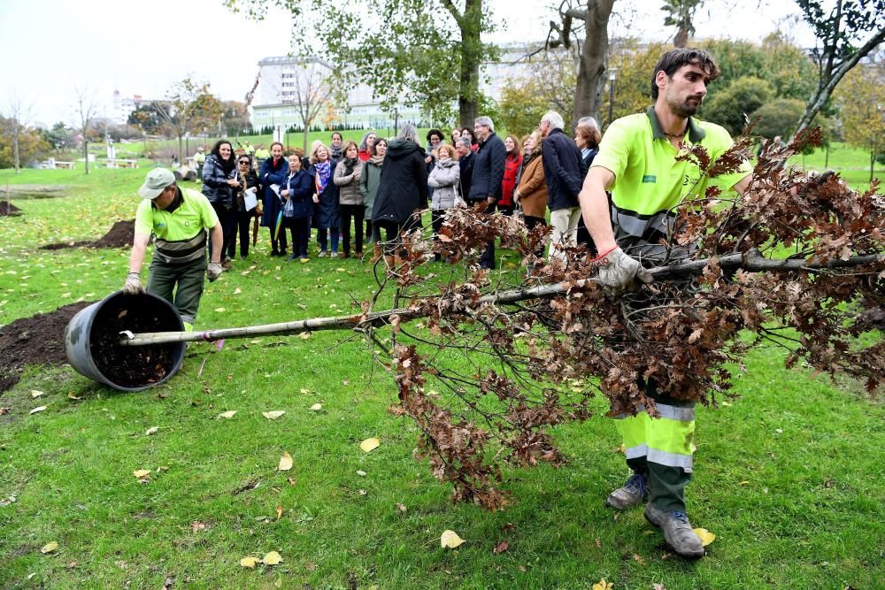 Las entidades que conforman la Plataforma Coruñesa de Voluntariado constan con un árbol que recuerda su labor a favor de la inclusión que realizan.