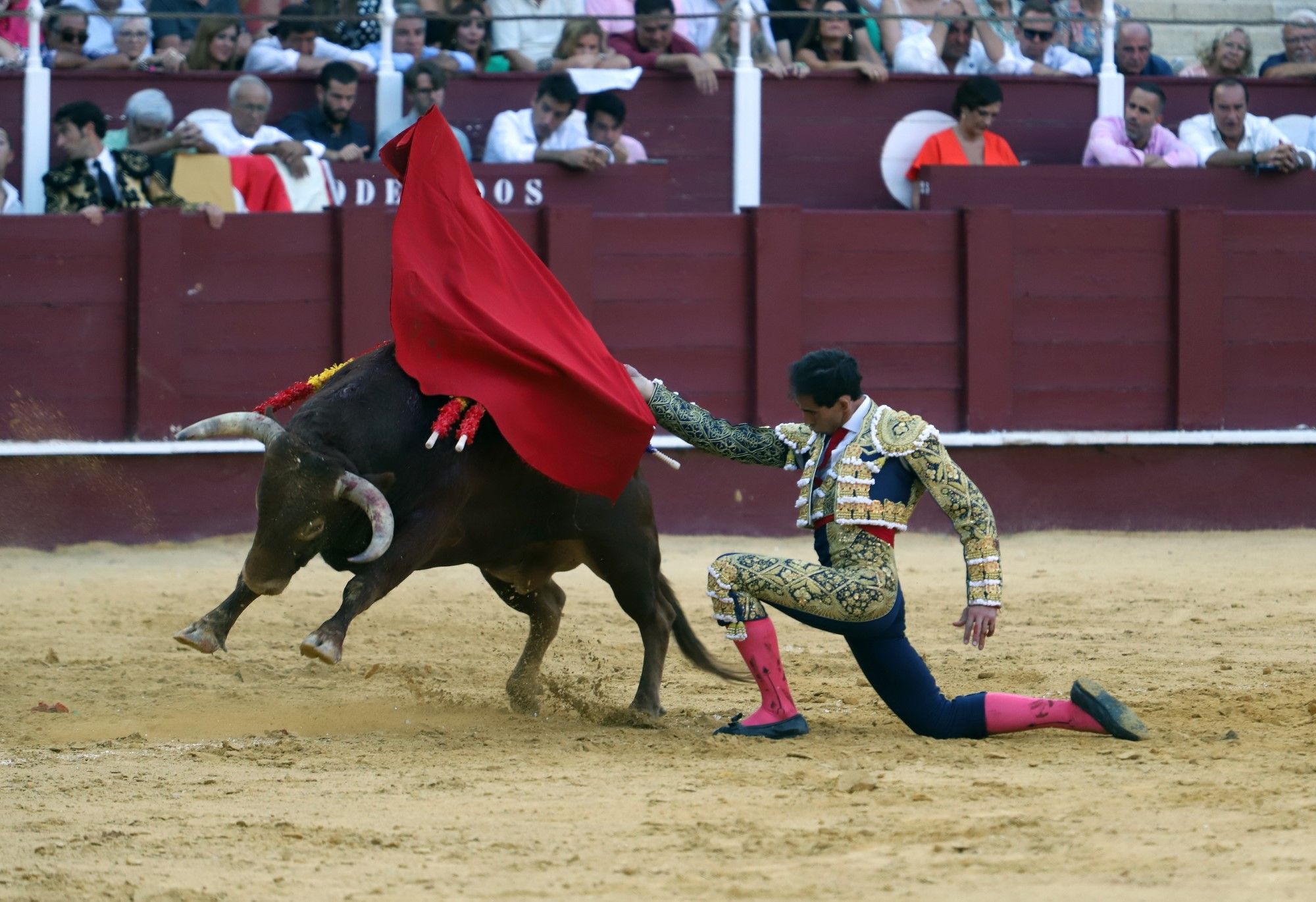 Las imágenes de la cuarta corrida de abono en La Malagueta y de la cogida de Jiménez Fortes