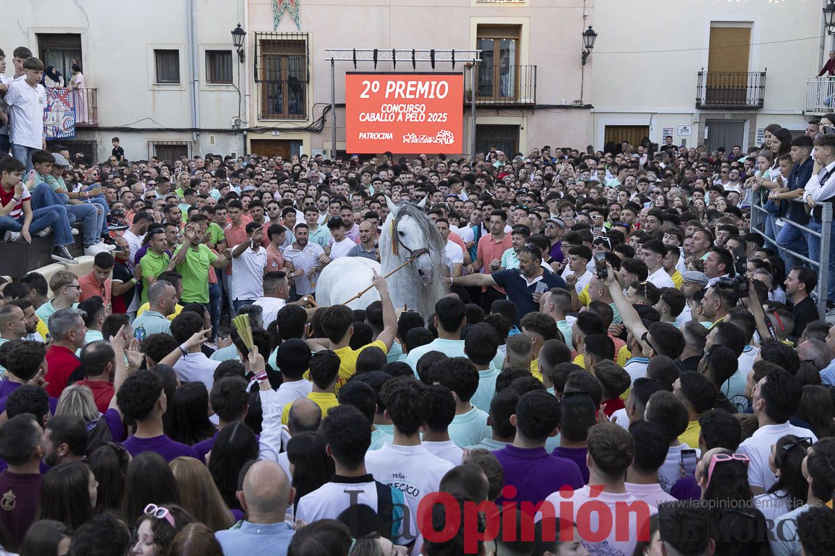 Fiestas de Caravaca | Entrega de premios del concurso morfológico