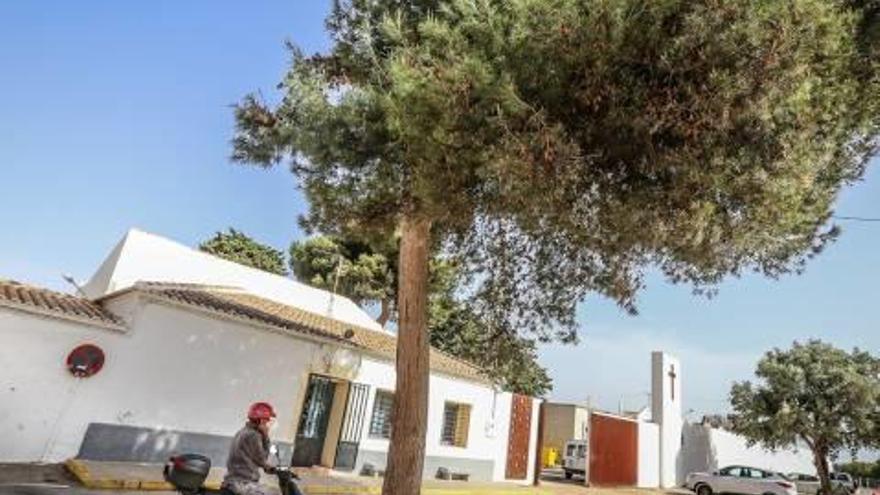 Imagen del cementerio de Torrevieja.