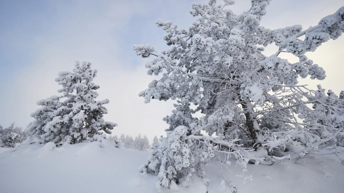 Archivo - Nieve en la estación de esquí Larra - Belagua, en el valle de Roncal, a 3 de diciembre de 2022, Navarra, (España). Este fin de semana se han abierto las pistas de esquí El Ferial y La Contienda, con un total de 13,2 kilómetros esquiables, espeso