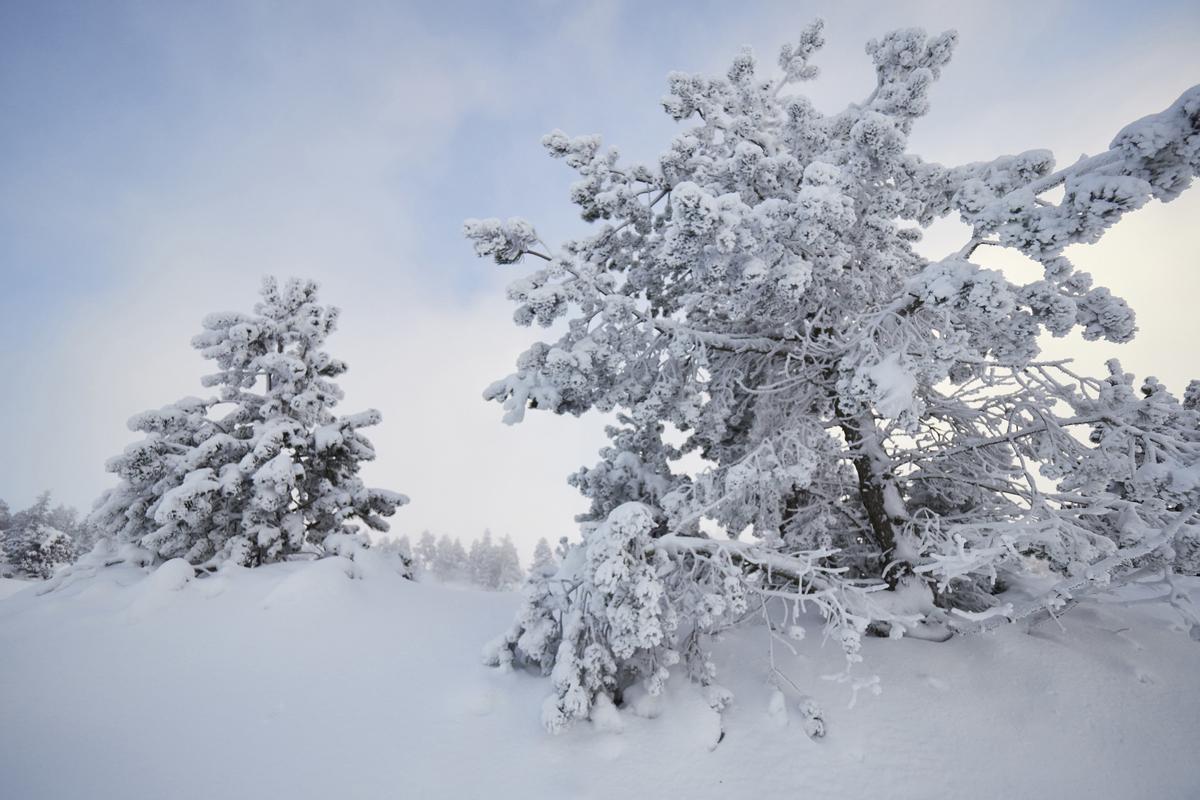 El temps hivernal amb nevades, fred i vent arriba el 15 de gener