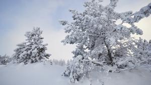 El temps hivernal amb nevades, fred i vent arriba el 15 de gener