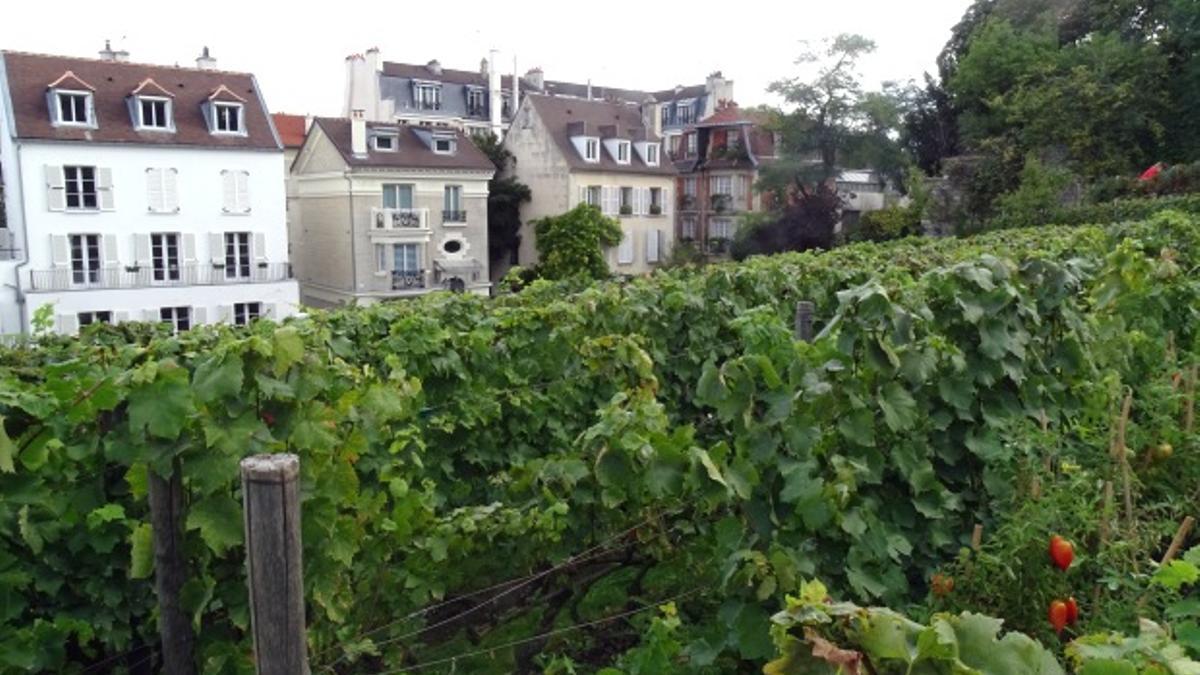 El viñedo de Montmartre