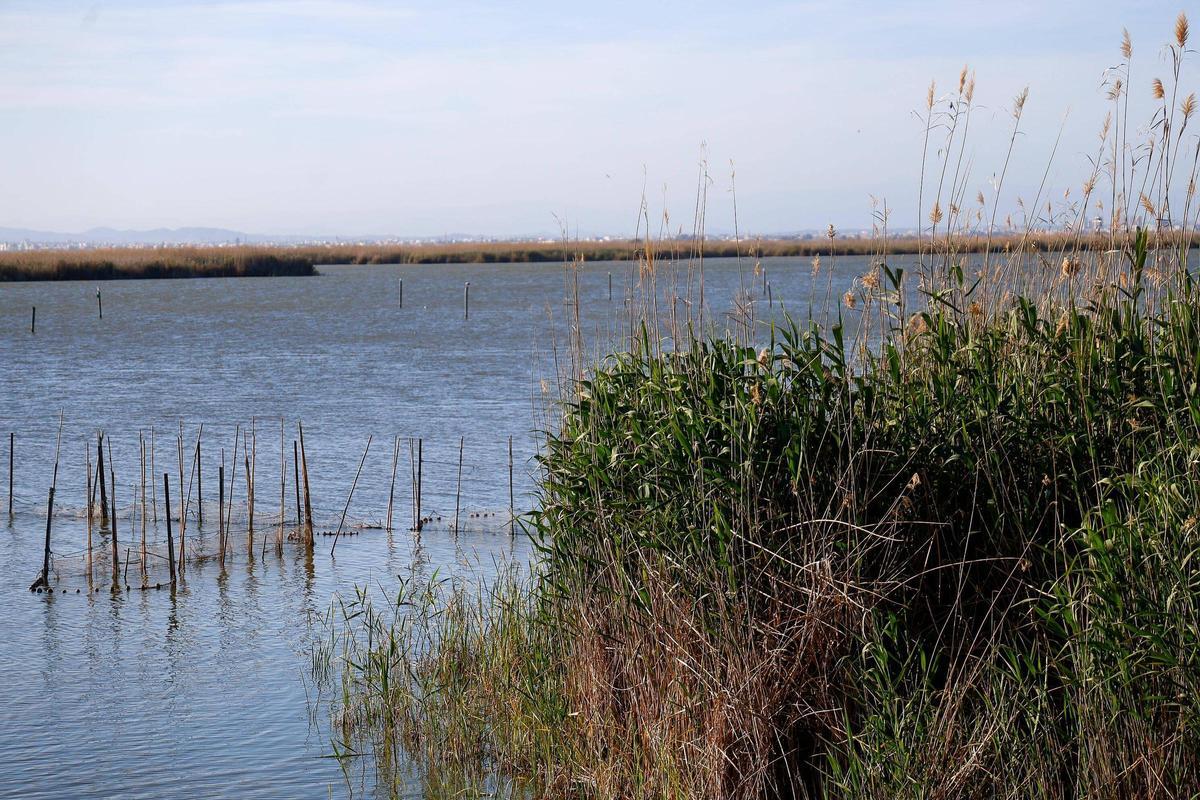 Panorámica del lago de l'Albufera este fin de semana.