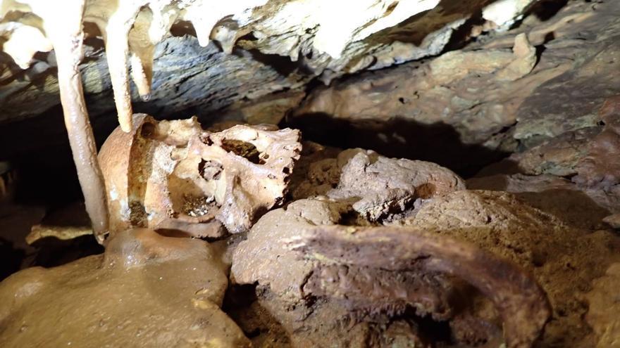 Un cráneo humano de más de 4.000 años: así es el último gran hallazgo arqueológico en Castellón