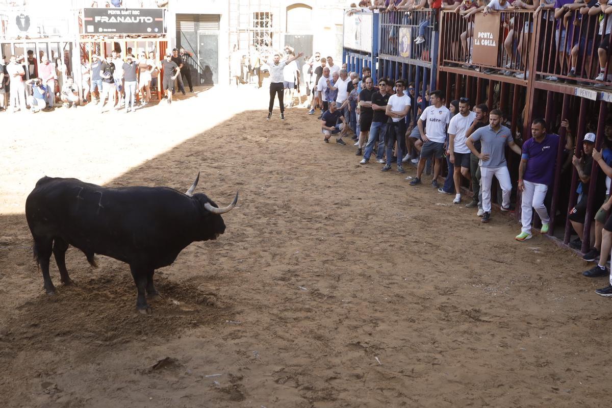 El sábado taurino de Santa Quitèria no defrauda