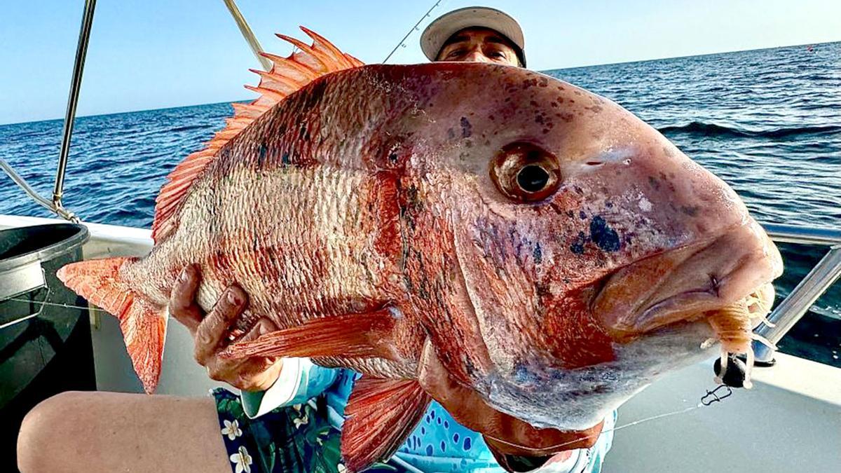 La urta pescada por Joaquín