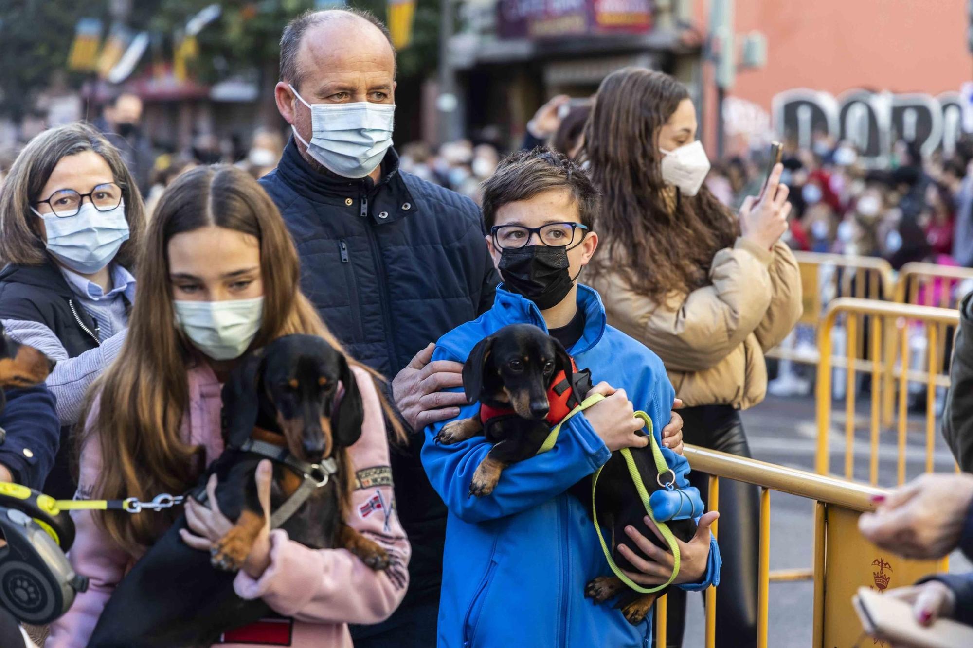 Búscate en la bendición de animales de Sant Antoni