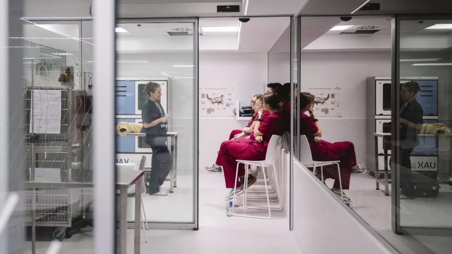 Una UCI, paritorio, quirófanos... y hasta maniquíes como pacientes: así es el hospital virtual de la Alfonso X el Sabio, la universidad que aterrizará en septiembre en Oviedo