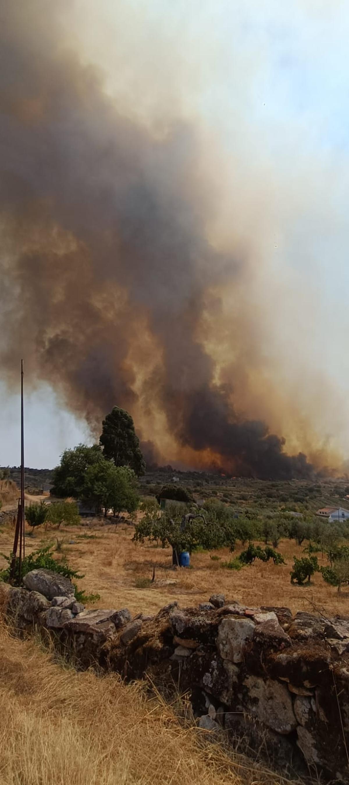 GALERÍA | Un incendio forestal amenaza Fermoselle