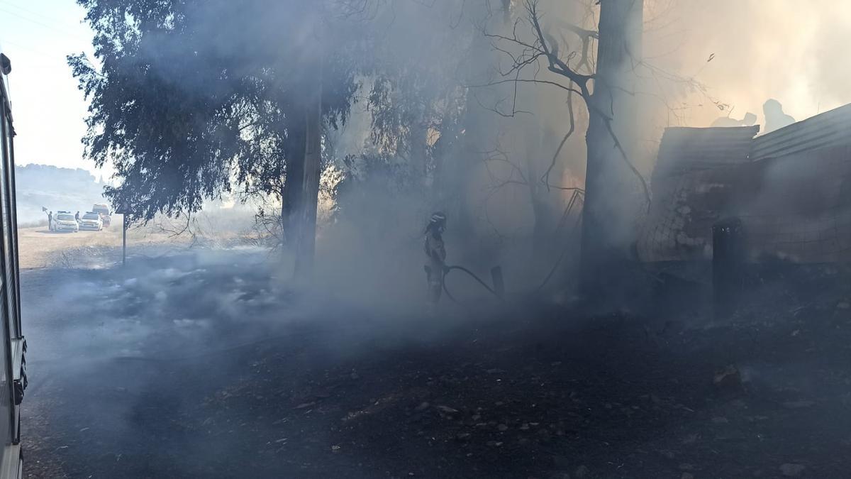 Los bomberos durante la extinción del fuego en Las Crispitas esta tarde.
