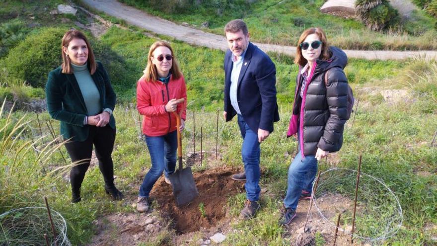 Nueva acción encaminada a la recuperación de la especie.