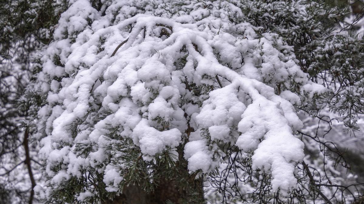 Fotogalería | La nieve cubre el norte de Extremadura