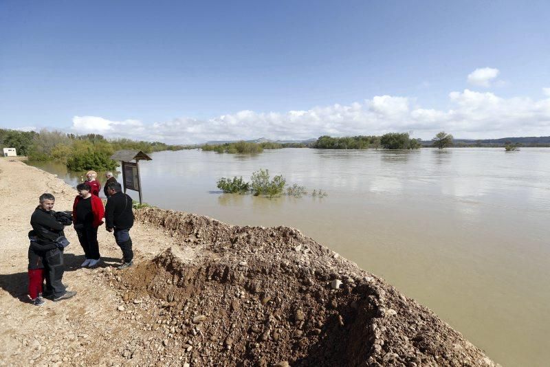 Consecuencias de la crecida del Ebro