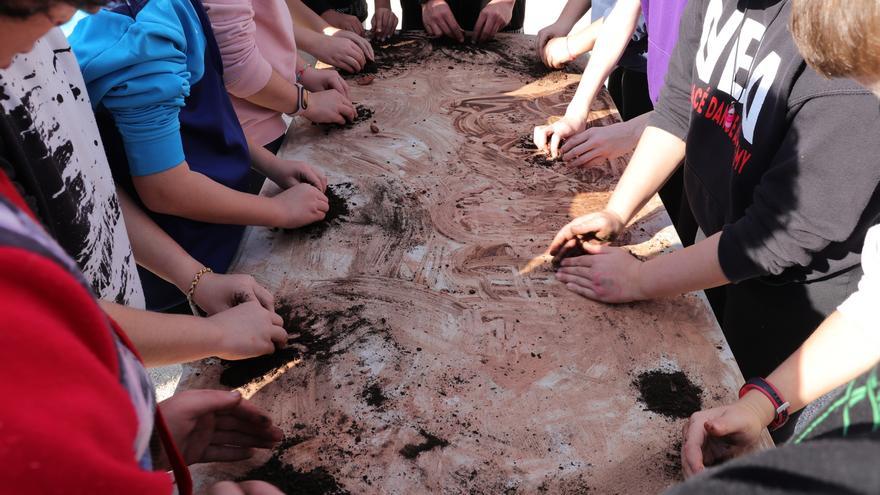 Centros educativos de Mutxamel participan en una plantación para celebrar el Día del Árbol