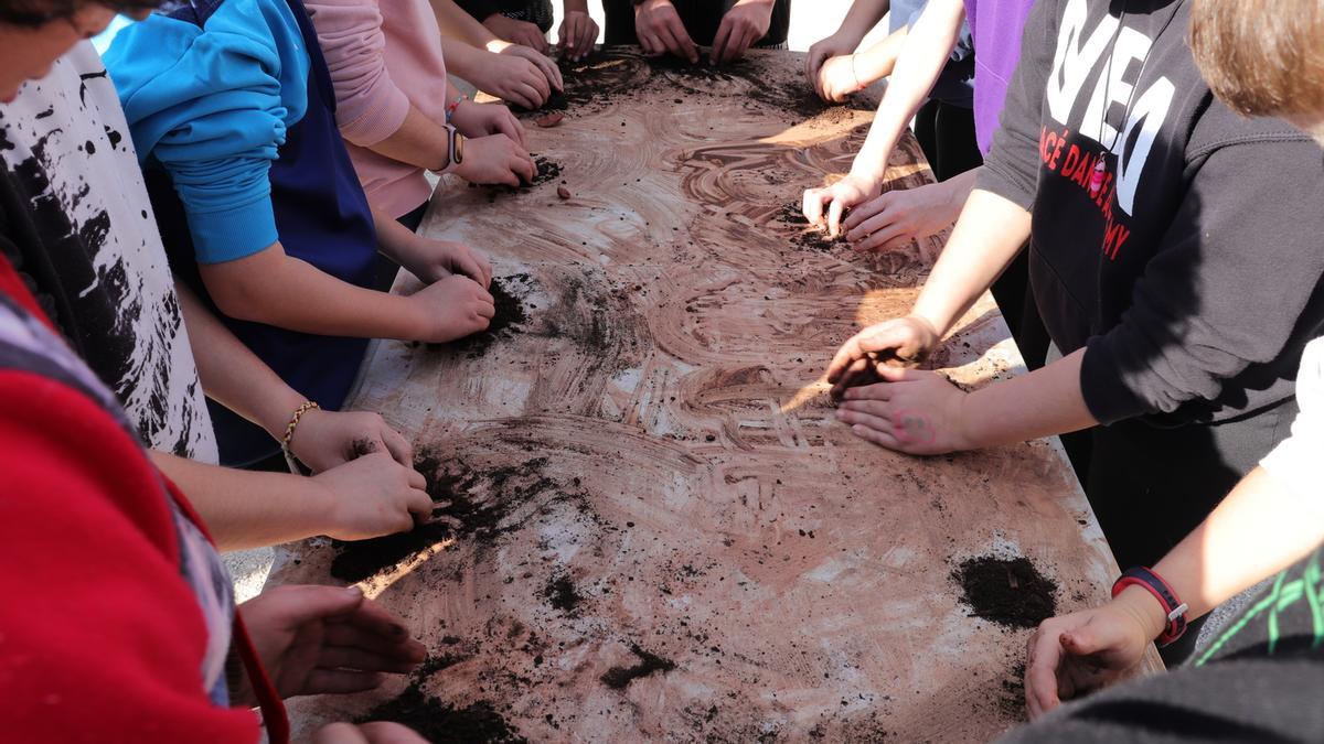 Escolares participan en las actividades del Día del Árbol en Mutxamel