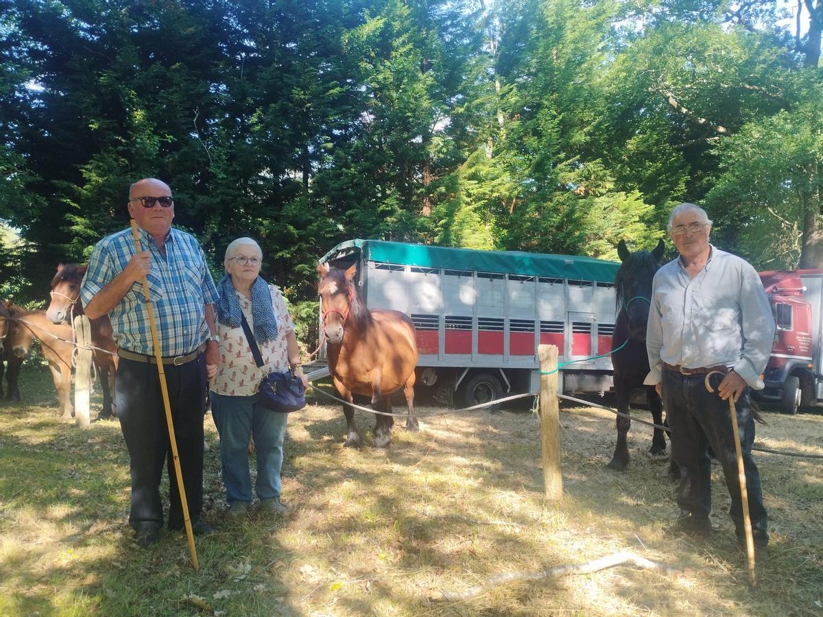 La feria sin vacas de San Pedro de Mallecina, en Salas, en imágenes