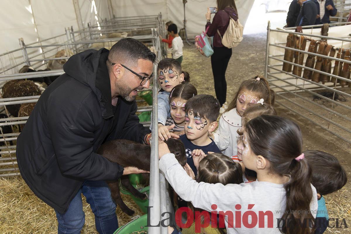 Así se ha vivido la IX Feria del Cordero Segureño celebraba en la pedanía caravaqueña de Archivel