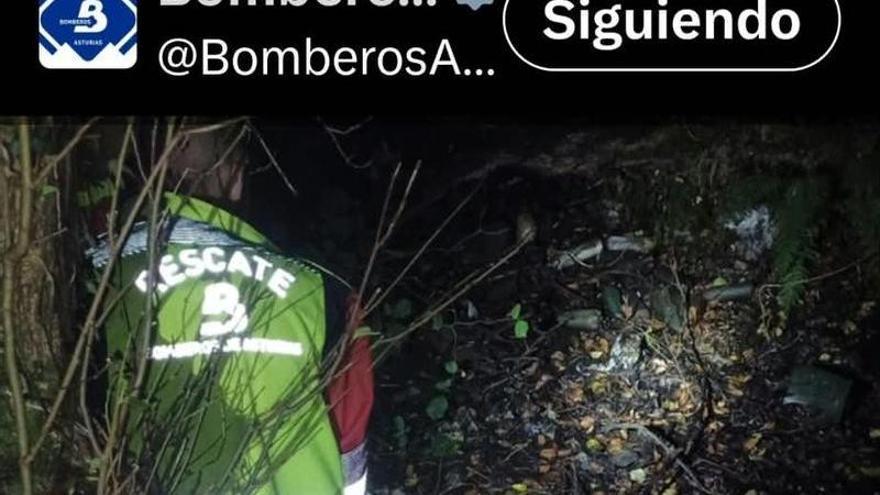 Así fue el complicado rescate de una vaca de 600 kilos en Siero: el animal vayó por un desnivel hasta la antigua vía de tren